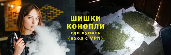ПСИЛОЦИБИНОВЫЕ ГРИБЫ Навашино