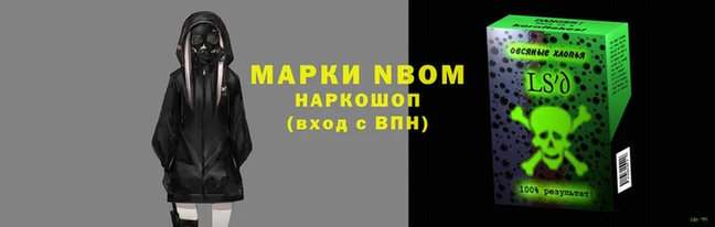 стафф Надым