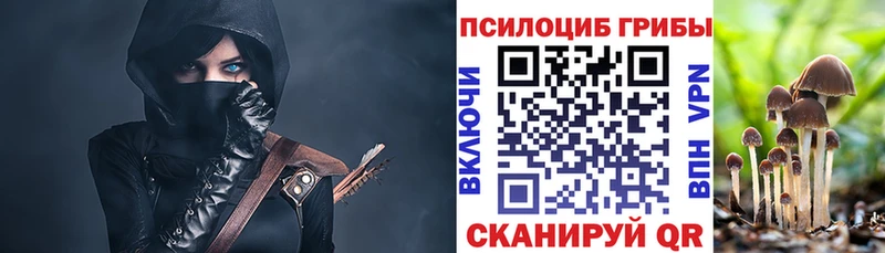 Купить  Дмитров  Галлюциногенные грибы Psilocybe 